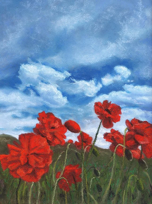 Wildflowers Hiking Engineer Mountain Colorado Fine Art Print